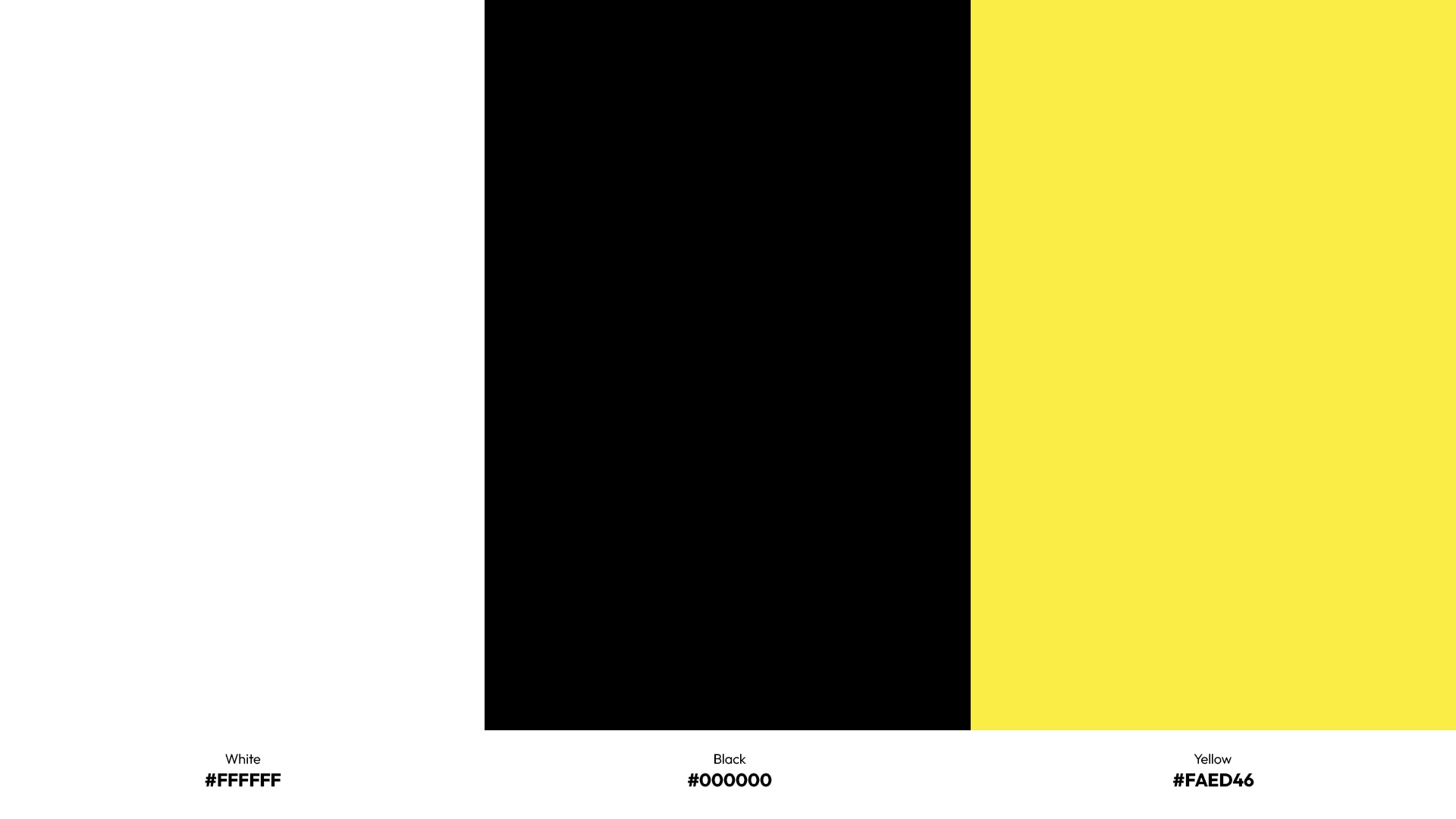 Color Palette